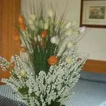 Girasole Guest house Rome
